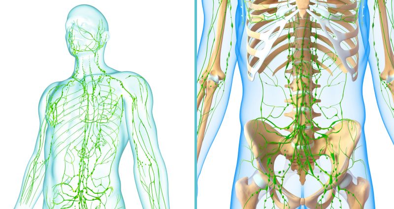 DRENAGEM LINFÁTICA MASSAGEM MANUAL ESTÉTICA (3)